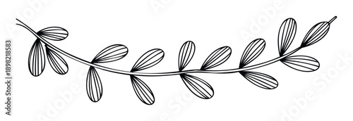 A simple black outline drawing of a leafy branch with striped leaves, perfect for adding a decorative organic touch to various graphic projects and naturalthemed stationery.