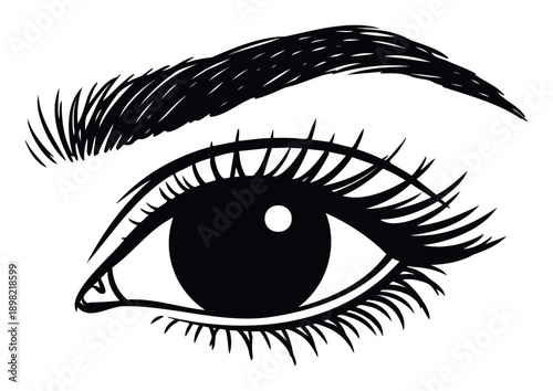Striking graphic drawing of an open human eye with thick eyelashes and a strong eyebrow line perfect for cosmetic branding, optometry services, and makeup tutorial content