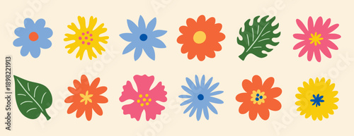 Naive daisy flowers clipart set with top view blooms and leaves. Hand drawn.
