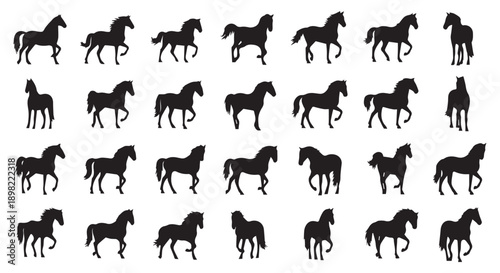 Collection of black horse silhouettes in various poses and movements on white background