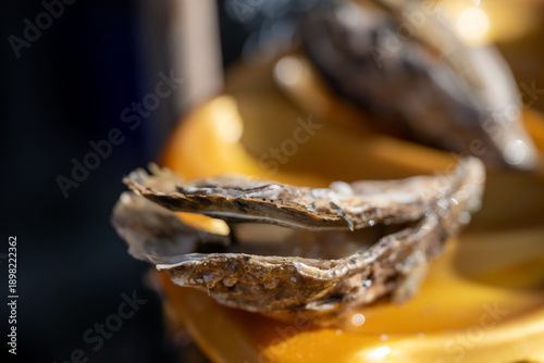 Foto Huître fermée posée sur un plateau doré, éclairée par une lumière naturelle qui met en valeur la texture brute de la coquille