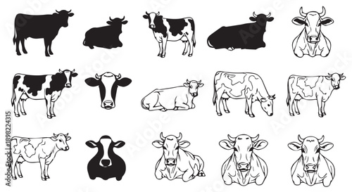 Collection of various cow illustrations in black and white, including silhouettes and line drawings in different poses.