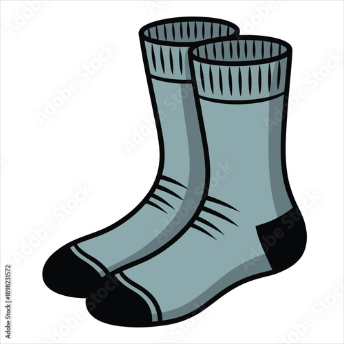 socks illustration  vector