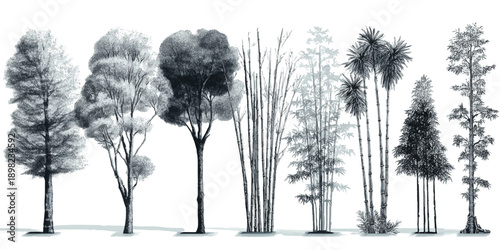 Collection of diverse trees and bamboo stalks rendered in monochromatic grayscale tones