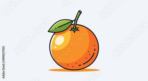 fresh orange fruits set design isolated on the white background