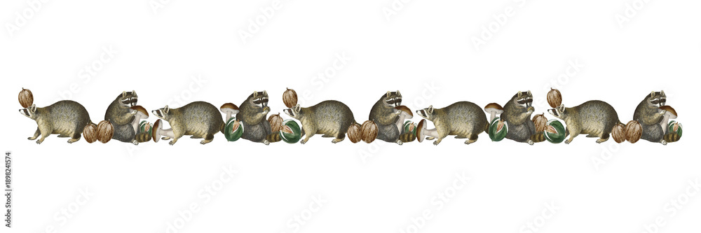Obraz premium Raccoon divider png sticker, vintage animal pattern border, transparent background