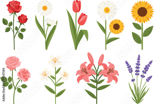 Professional Floral Collection Featuring Modern Flat Illustrations of Roses Tulips Sunflowers Lilies Daisies and Lavender for Garden and Lifestyle Graphic Design