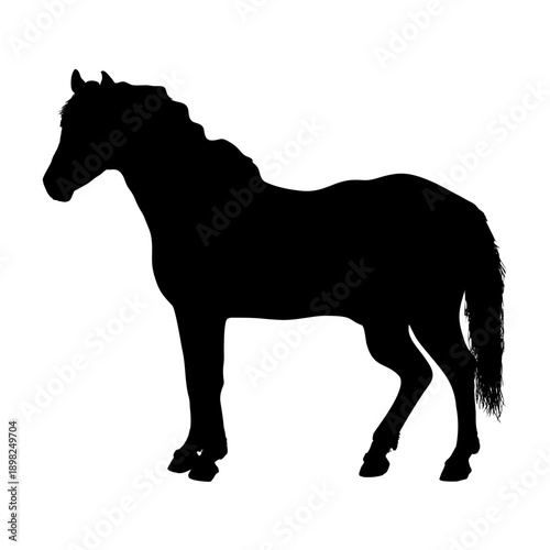 A black silhouette vector illustration of a wild stallion horse with a flowing mane and tail isolated on a white background for farm and nature art