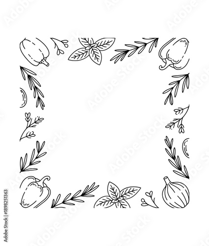 Spices doodle frame Collection of pen pencil chalk hand drawn sketches templates patterns of different condiments coriander carnation ginger isolated in line. Aromatic plants for cooking illustration.