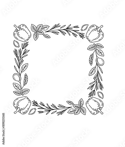 Spices doodle frame Collection of pen pencil chalk hand drawn sketches templates patterns of different condiments coriander carnation ginger isolated in line. Aromatic plants for cooking illustration.
