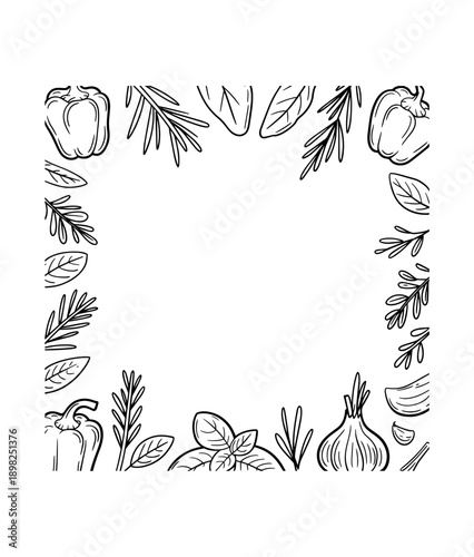 Spices doodle frame Collection of pen pencil chalk hand drawn sketches templates patterns of different condiments coriander carnation ginger isolated in line. Aromatic plants for cooking illustration.