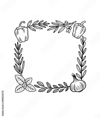 Spices doodle frame Collection of pen pencil chalk hand drawn sketches templates patterns of different condiments coriander carnation ginger isolated in line. Aromatic plants for cooking illustration.