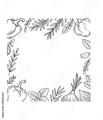 Spices doodle frame Collection of pen pencil chalk hand drawn sketches templates patterns of different condiments coriander carnation ginger isolated in line. Aromatic plants for cooking illustration.