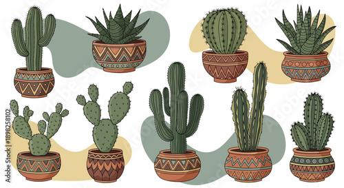 Cacti and Succulents in Decorative Pots.