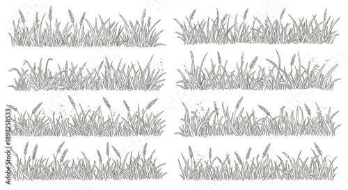 Collection of Various Grass Illustrations in Black and White.