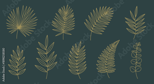 Collection of Various Leaf Shapes and Forms.