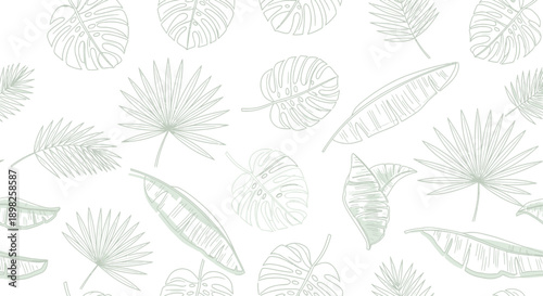 Collection of Various Trilobite Fossils.