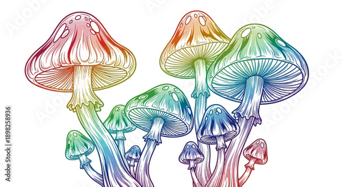 Colorful Mushrooms Fungi Illustration Artwork.