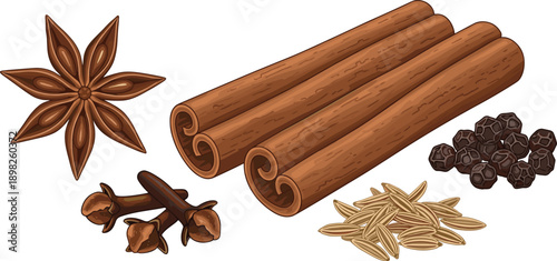 Cinnamon sticks with star anise cloves pepper seeds spice set vector illustration aromatic cooking ingredients isolated flat design