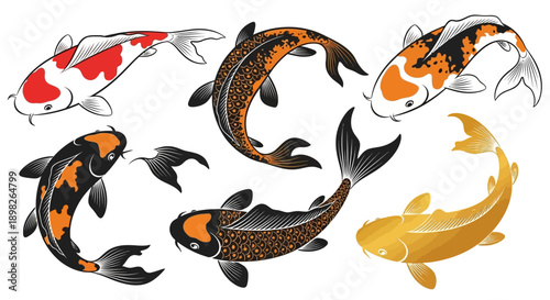 Koi Fish Swimming in Various Colors.