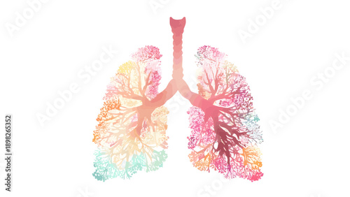 Abstract Vibrant Human Lungs Illustration for Respiratory Health and Creative Medical Concept