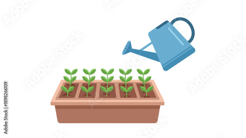 Small green seedlings growing in a plant tray being watered by a blue watering can, perfect for themes of horticulture, farming, and plant care education.