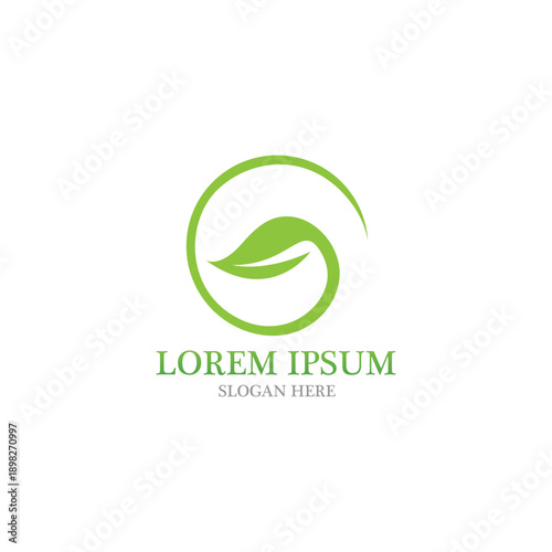 Leaf nature logo and symbol vector image