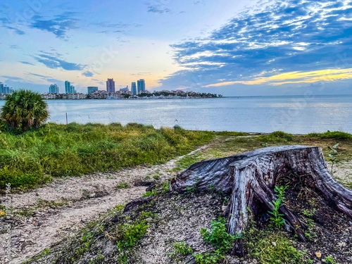 Εκτύπωση καμβά Miami Skyline at Sunrise from Coastal Nature Trail