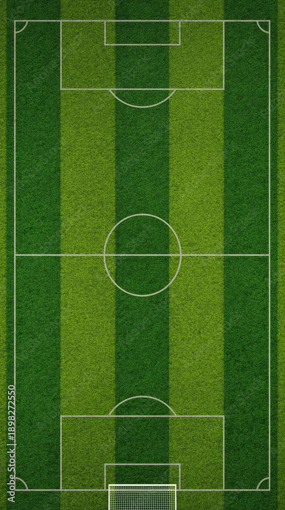 Obraz premium Top Down View of a Soccer Field with Striped Grass and Full Markings