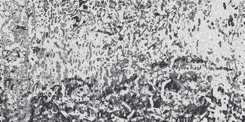 Dense monochromatic abstract background with a complex network of organic shapes and granular texture, creating a visually intricate and artistic pattern for diverse design applications