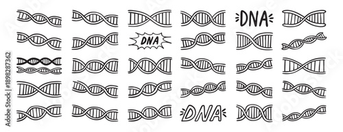 DNA strand doodle hand drawn icon. Outline drawing helix line clipart symbol.