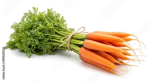 Fresh Orange Carrots with Green Tops Tied Together