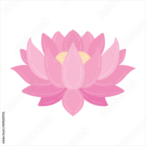 Pink lotus flower illustration on white background Vector
