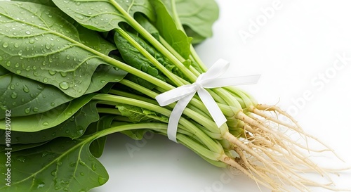 Fresh Spinach Leaves Tied with Ribbon on White Background