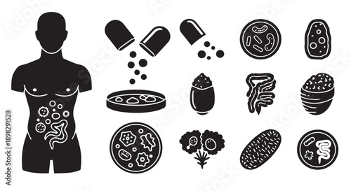 Human digestive system with probiotics and supplements illustration