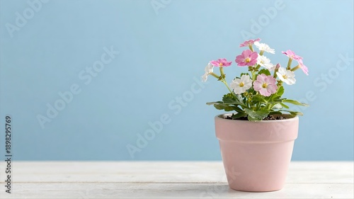 Wallpaper Mural pink flowers in a pot Torontodigital.ca