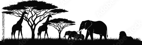 African safari wildlife silhouettes featuring giraffes, elephants, and acacia trees, scenic savanna landscape illustration for nature, travel, conservation, and animal concepts