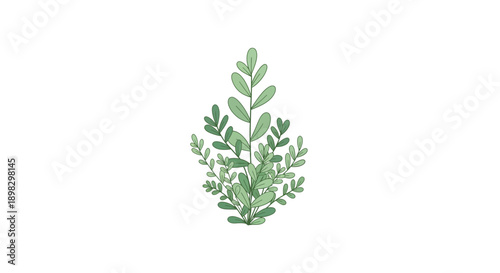 Centered watercolor plant illustration of green leaves on white background viewed from a close-up perspective