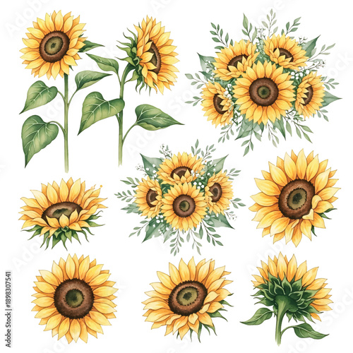 Set of bright sunflowers in a sunny garden field