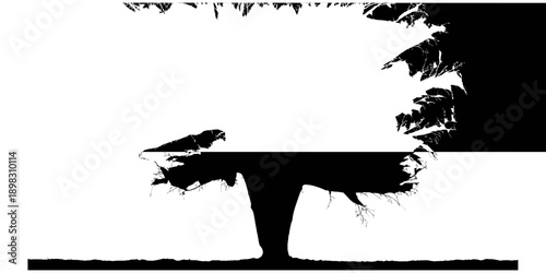 A serene silhouette of a tree standing alone on a plain, viewed from the side, showcasing its expansive canopy and sturdy trunk