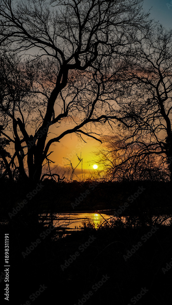 Fototapeta premium A breathtaking African morning sky glows with hues of orange, pink, and gold as the sun rises over the horizon. This stunning landscape image evokes peace and natural beauty, ideal for travel