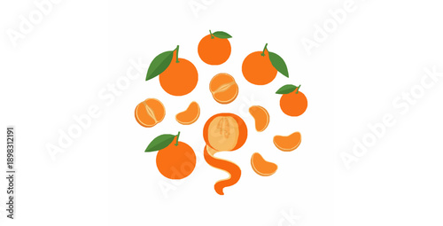 Mandarin oranges flat vector illustration set with unpeeled and segmented fruits