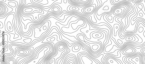 "Contemporary Abstract Topography and Geometric Line Patterns: A Detailed Sea Map Design with Striking Grid Structures on a Crisp White Canvas"