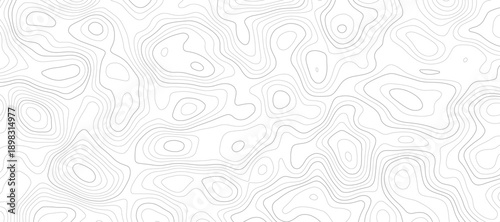 white background displays topographic contour lines, creating abstract pattern suitable for various design applications