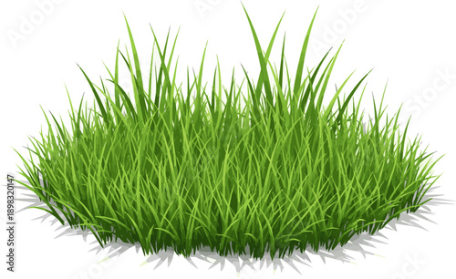 green grass isolated on whiteRealistic grass grass meadow foliage plants in green nature vegetation lawn pasture for summer growth. meadow foliage plants in green nature vegetation lawn pasture for su