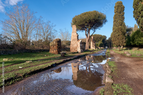 The puddles on the ancient paving stones reflect the surrounding ruins and the characteristic pine trees, creating a picturesque atmosphere