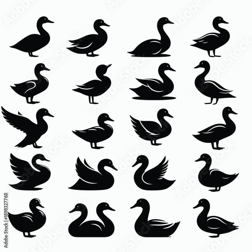 A collection of stylized black silhouettes depicting various duck poses and orientations