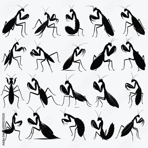A collection of stylized praying mantis illustrations in differing poses and viewpoints