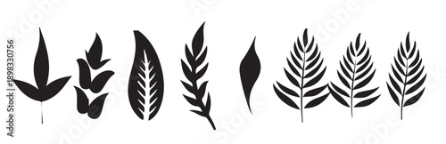 Set of flowers, branches, leaves silhouettes. Collection of isolated grunge texture ink floral elements on white background vector illustration.