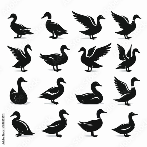 A collection of black silhouette ducks in various poses and perspectives are displayed